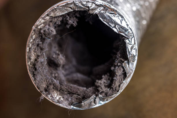 Best Mold and Mildew Removal from Ducts in USA